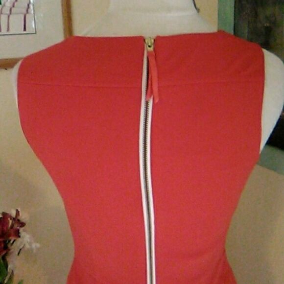 Eliza J Royal Collection Persimmon Pleated Dress - Picture 8 of 11